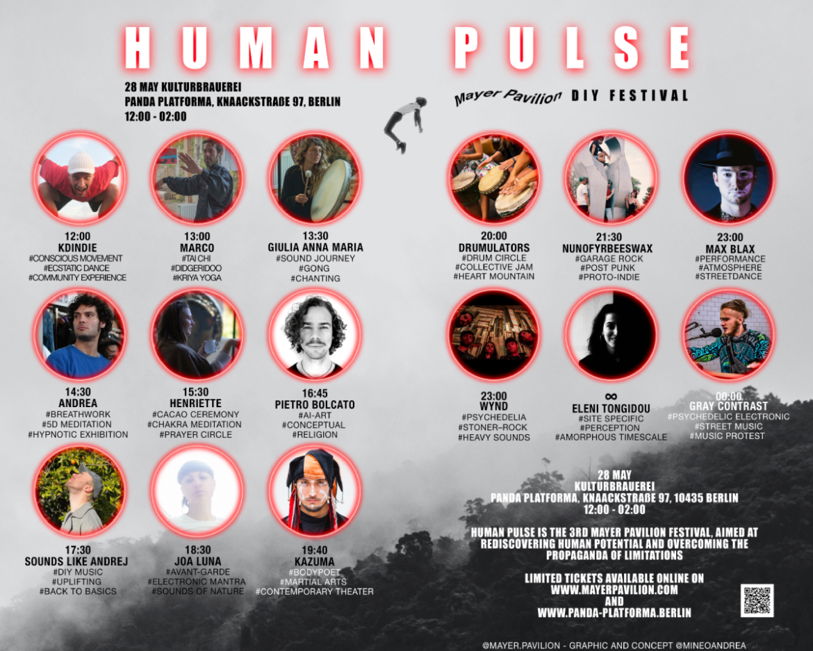 Human Pulse. 3rd Mayer Pavilion DIY